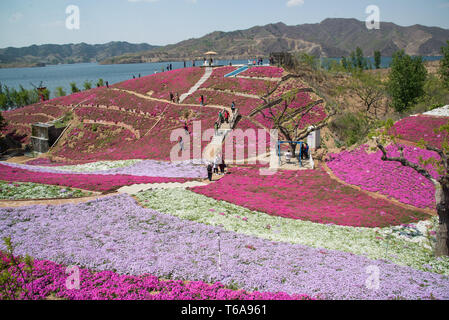 Tangshan cinese nella provincia di Hebei. 30 apr, 2019. Turisti visitano Yuhuagu scenic area nella contea di Qianxi in Tangshan, nel nord della Cina di nella provincia di Hebei, Aprile 30, 2019. Credito: Li Shaohua/Xinhua/Alamy Live News Foto Stock