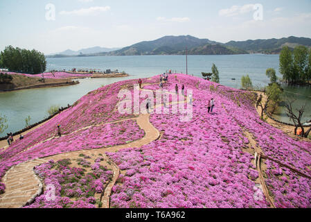 Tangshan cinese nella provincia di Hebei. 30 apr, 2019. Turisti visitano Yuhuagu scenic area nella contea di Qianxi in Tangshan, nel nord della Cina di nella provincia di Hebei, Aprile 30, 2019. Credito: Li Shaohua/Xinhua/Alamy Live News Foto Stock