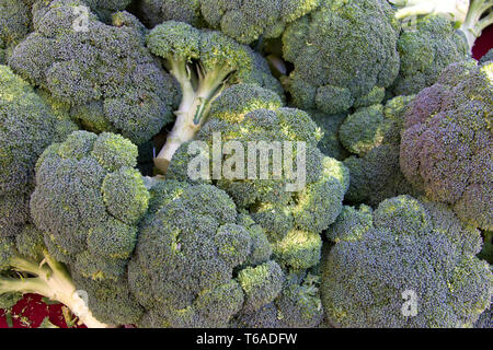 Capi di broccoli, vicino sul mercato degli agricoltori nella tabella. Primavera Estate colture Foto Stock