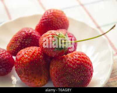 Pochi acini di fragole fresche su una piastra bianca Foto Stock