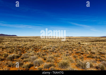 I campi gialli con vista montagna dal lato Foto Stock