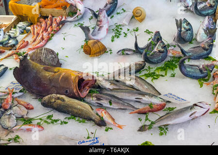 Il pesce fresco e i frutti di mare visto in un mercato di Palermo, Sicilia Foto Stock