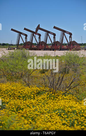 Midland County, Texas, Stati Uniti d'America - 21 Aprile 2019 : un array di unità di pompaggio in una direzione ben nel bacino Permiano oilfield. Foto Stock