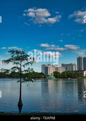 Orlando, Florida, vista dal Lake Eola Park nel centro della città Foto Stock