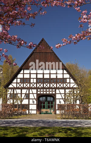 Station wagon Hueck in primavera, Bad Sassendorf, Suedwestfalen, Nord Reno-Westfalia, Germania Foto Stock