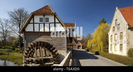 Mulino ad acqua e monastero Vinnenberg, Warendorf, Muensterland, Nord Reno-Westfalia, Germania Foto Stock