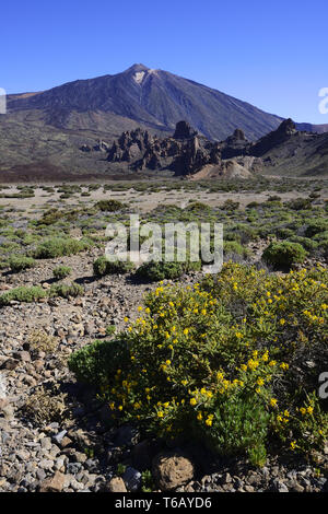 Bel paesaggio al Teide Nationalpark, Las Canadas, Tenerife Foto Stock