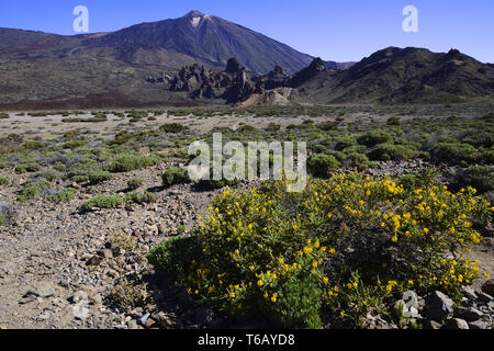Bel paesaggio al Teide Nationalpark, Las Canadas, Tenerife Foto Stock
