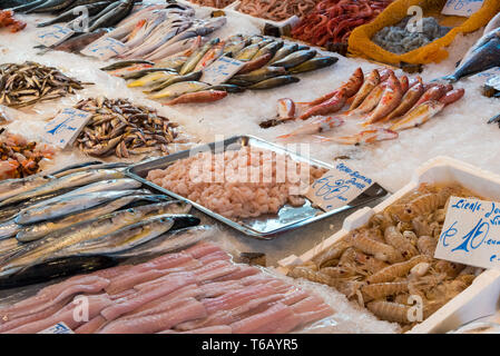 Il pesce fresco e i frutti di mare per la vendita sul mercato della Vucciria a Palermo, Sicilia Foto Stock