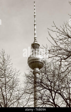 Berlino torre della TV in inverno, visto attraverso alcune filiali Foto Stock