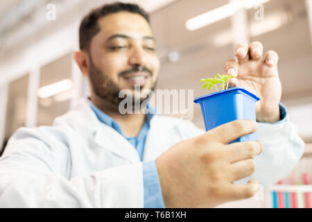 Seme tecnologo esame di impianto Foto Stock