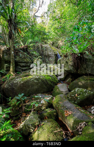 Cascata in Nosy mangabe, Madagascar deserto Foto Stock