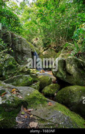 Cascata in Nosy mangabe, Madagascar deserto Foto Stock