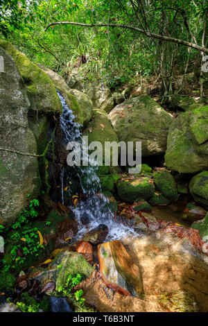 Cascata in Nosy mangabe, Madagascar deserto Foto Stock