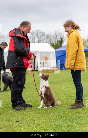 Mayfields Farm Open Day Foulsham NORFOLK REGNO UNITO Foto Stock