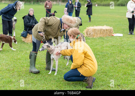 Mayfields Farm Open Day Foulsham NORFOLK REGNO UNITO Foto Stock