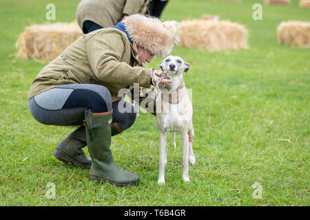 Mayfields Farm Open Day Foulsham NORFOLK REGNO UNITO Foto Stock