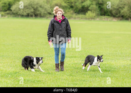 Mayfields Farm Open Day Foulsham NORFOLK REGNO UNITO Foto Stock