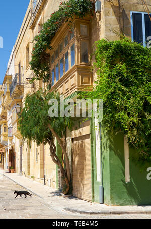 Una vista di casa Maltese nel caldo di giorno e il gatto nero attraversa la strada. Malta Foto Stock