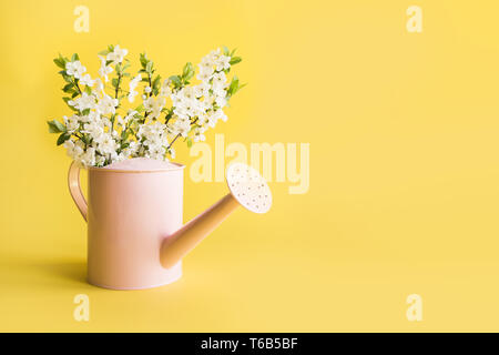 Bouquet di fiori bianchi fioritura di alberi da frutto in decorazioni annaffiatoio con il giallo. Concetto di giardinaggio. Molla. Foto Stock