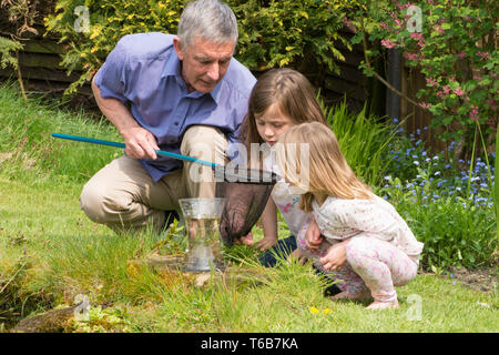 Nonno pond dipping con due nipoti, insegnando loro circa, e mostrando loro, fauna selvatica, giovani ragazze, 3 e 8 anni. net e jar Foto Stock