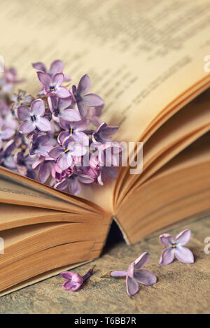 Fiori lilla con open old book Foto Stock