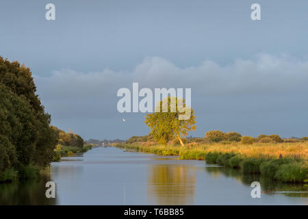 Tramonto nella palude Briere area vicino Breca (Saint-Lyphard, Francia) Foto Stock