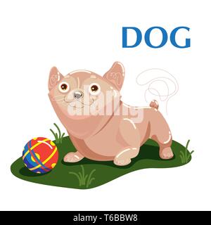 Educational flashcard cane gioca con la palla sull'erba Illustrazione Vettoriale