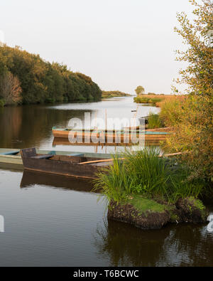 Tramonto nella palude Briere area vicino Breca (Saint-Lyphard, Francia) Foto Stock