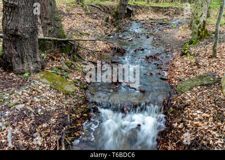Wild inviolata flusso intatte in corso d'acqua nelle rocce di foresta nel flusso liscio con acqua corrente Foto Stock