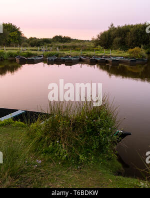 Tramonto nella palude Briere area vicino Breca (Saint-Lyphard, Francia) Foto Stock