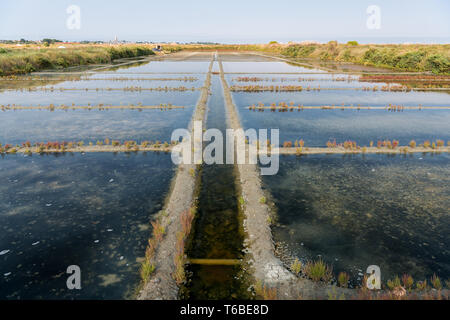 Le saline di Guerande (Francia) in una giornata di sole in estate Foto Stock