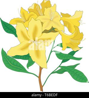 Giallo Azalea illustrazione vettoriale Illustrazione Vettoriale