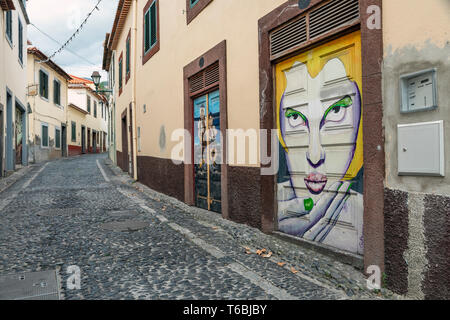 Murales dipinti come parte dell'arte della Open Doors Project nella zona velha (Città Vecchia) area di Funchal, Madeira Foto Stock