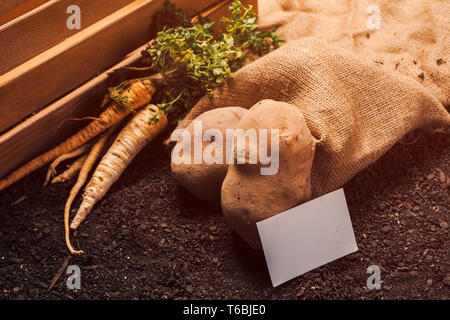 Agricoltura biologica di prezzemolo e patate con business card mock up caserecci vegetali di produzione alimentare Foto Stock