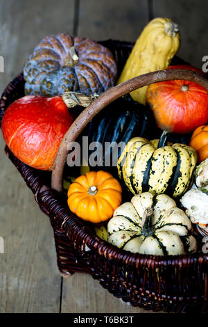 Angolo alto close up di un cesto con una varietà di raccolti di fresco zucche. Foto Stock