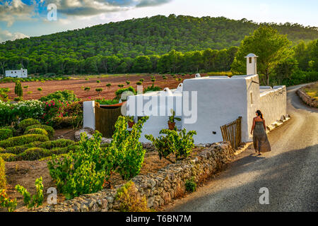 Santa Agnese de Corona. Isola di Ibiza. Le Baleari. Isole. Spagna Foto Stock