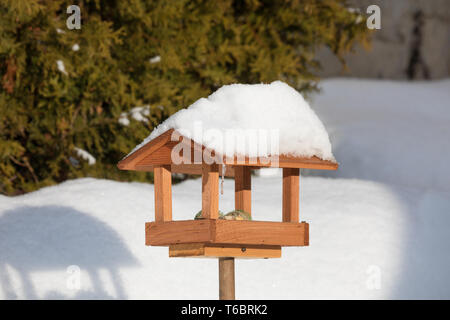 Semplice birdhouse nel giardino di inverno Foto Stock