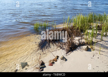 Sulle rive del fiume Elba vicino a Magdeburgo Foto Stock