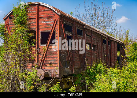 Legno vecchio carro ferroviario derelitti catturata dalla vegetazione. Foto Stock