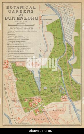 Bogor, West Java. 'Giardini Botanici a Buitenzorg'. Indonesia 1920 mappa vecchia Foto Stock