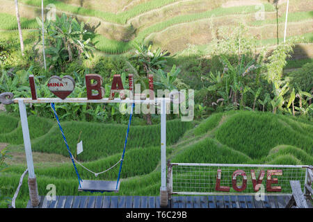 Io amo segno di Bali con uno swing oltre le risaie in Ubud Bali Indonesia Foto Stock