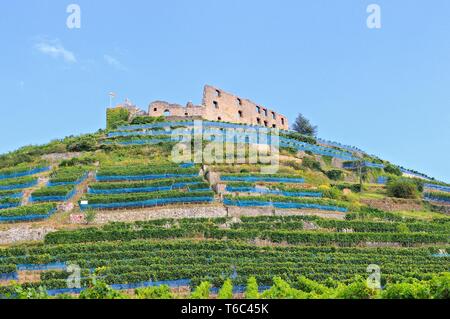 Staufen Castle - Staufen Germania Europa Foto Stock