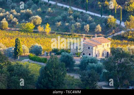 L'Italia, in Toscana, in provincia di Siena, Montalcino, casale in pietra circondato da vigneti in autunno Foto Stock