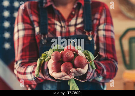 Donna americana l'agricoltore che detiene mazzetto di raccolte di ravanelli, close up delle mani Foto Stock