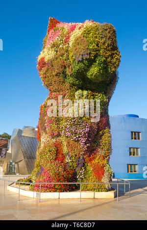 Cane da fiori nel centro città di Bilbao Foto Stock