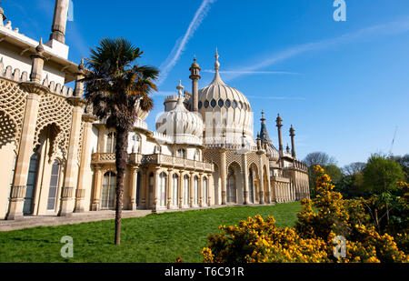 Il Royal Pavilion e giardini BRIGHTON REGNO UNITO Foto Stock