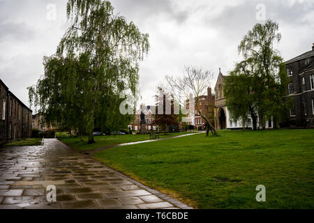 La tranquilla e panoramica vicino Cattedrale nella città di Norwich. Tutti intorno al centro di Prato si trova storico, tradizionale e elencati in sede, Foto Stock