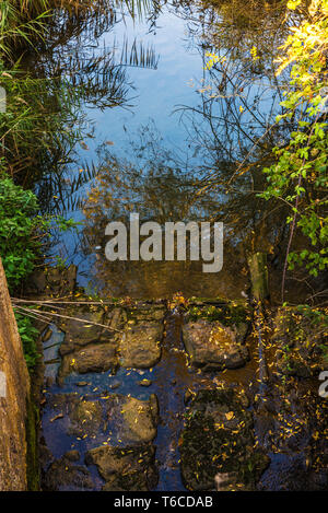 Fiume con vegetazione come sfondo a Cardona, Catalogna, Spagna Foto Stock