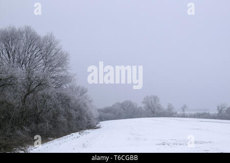 Un giorno di nebbia sulla montagna Schöppinger Foto Stock